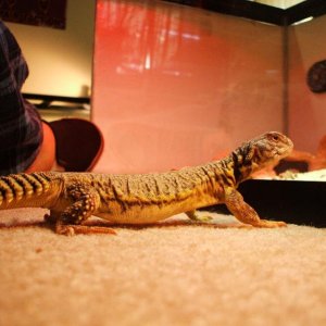 My uro :)