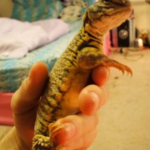 My uro :)