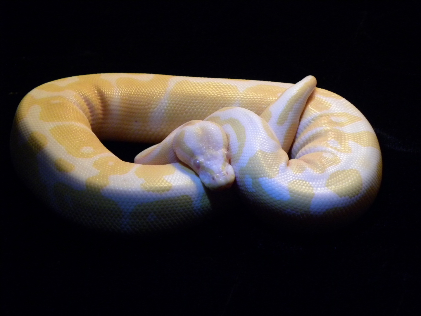 0247