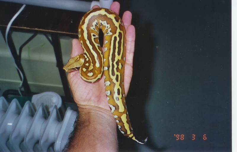 04 male