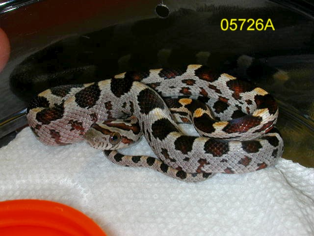 05