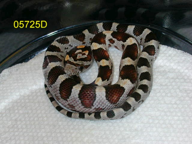 05