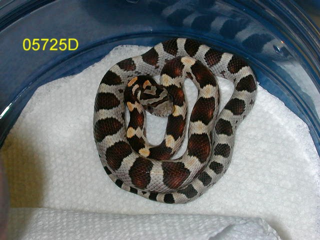 05
