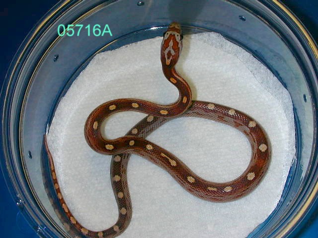 05