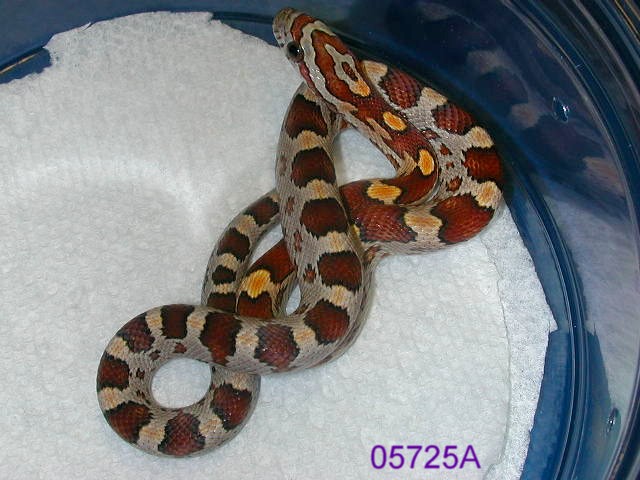 05