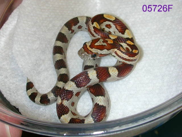 05