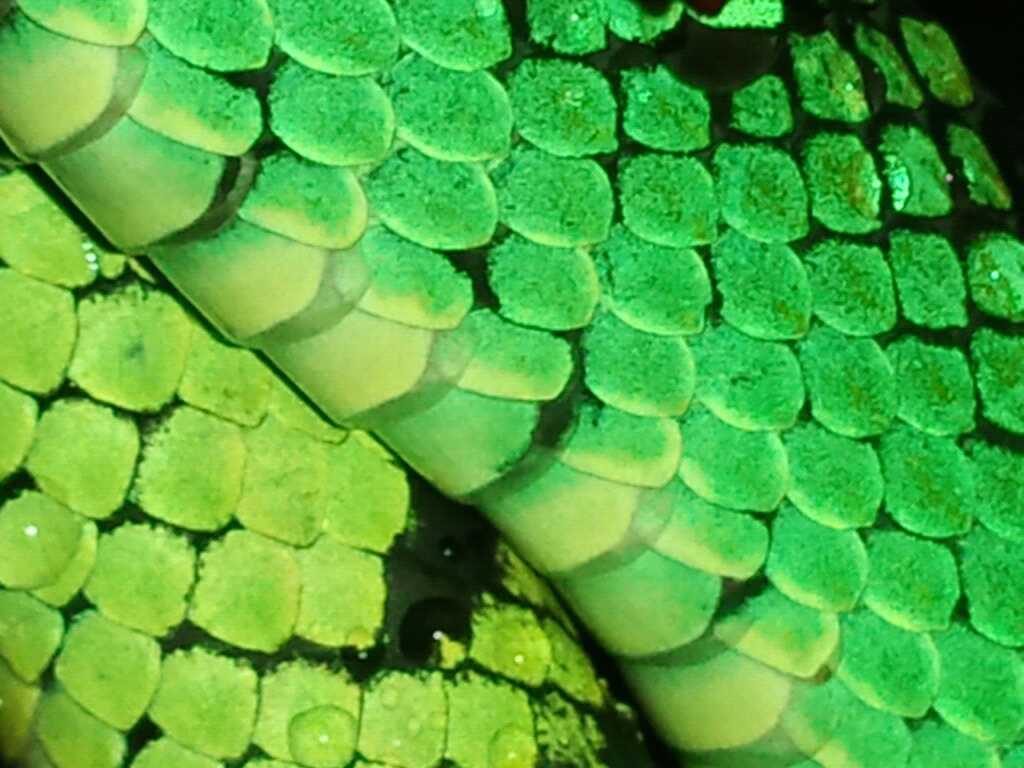 1311546720463