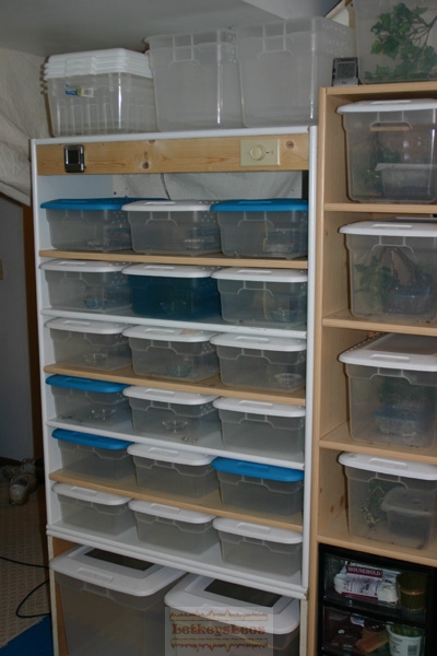 18slot_rack