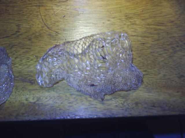1st shed