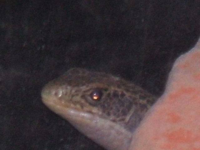 2006_0325Image0009
