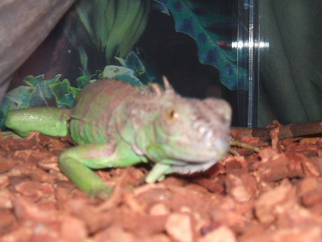2006_0325Image0107