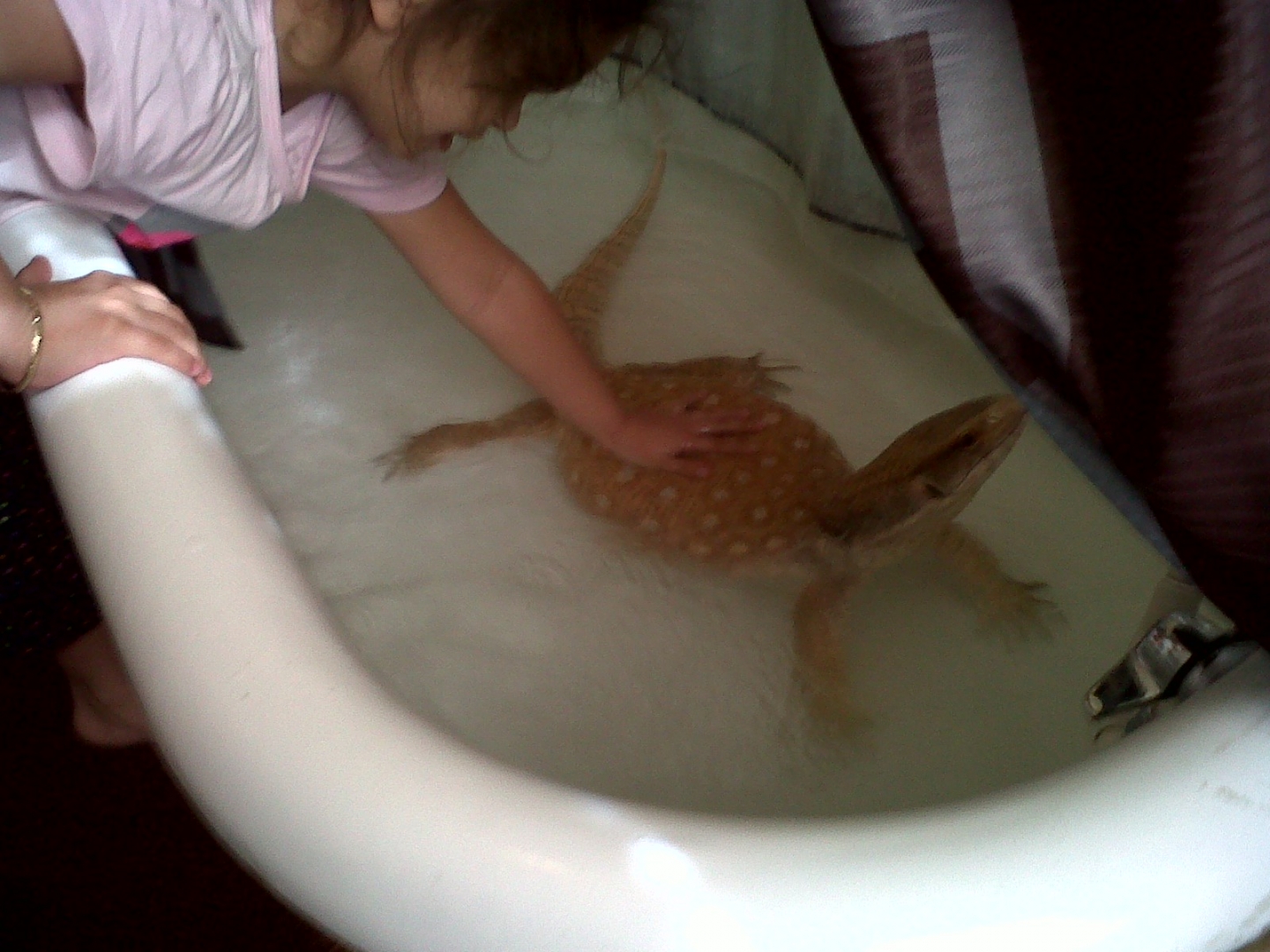 2010_eggs_346