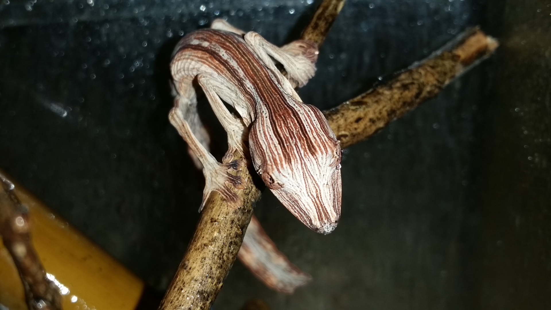 20150718_224813