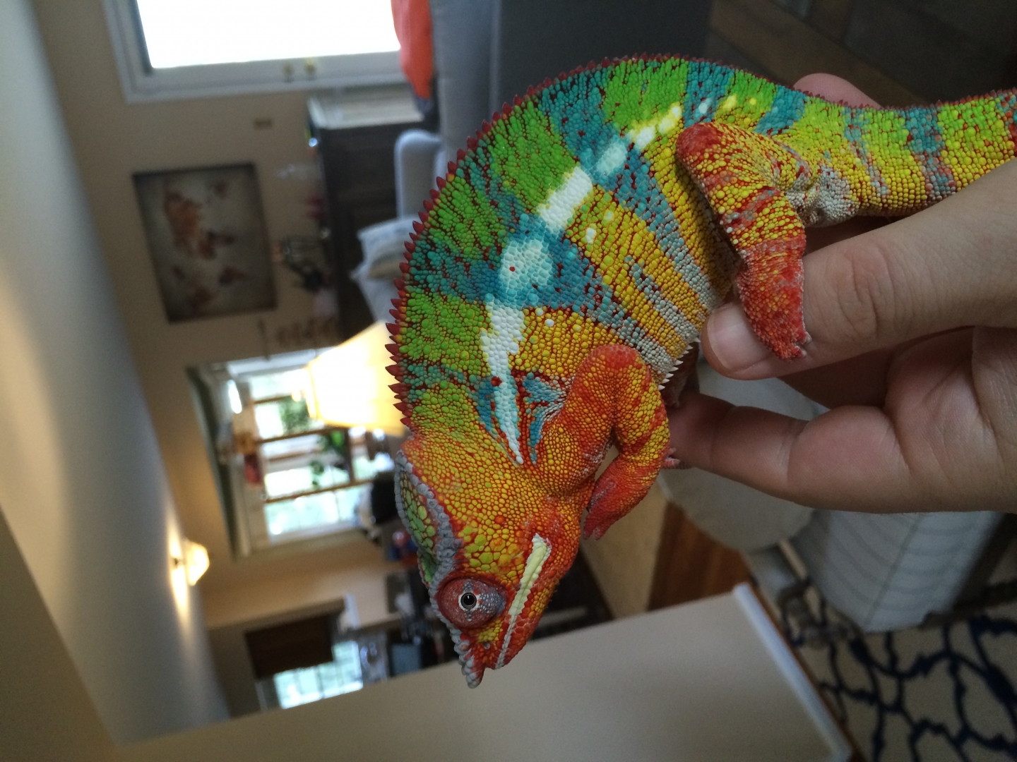 2016-10-21_16-39-34_000