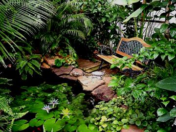 3000 gallon Pond Viewing Area