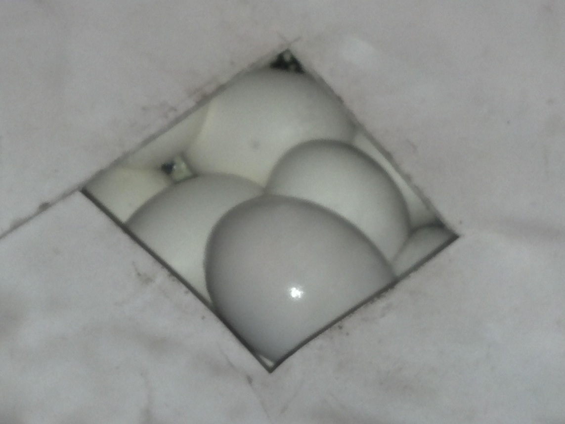 4_13_12_JCP_EGGS