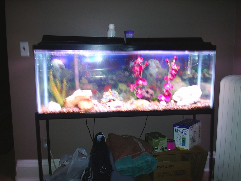 55 gal fish tank for sale
