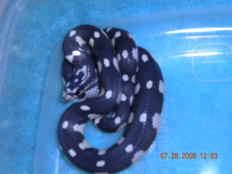 7-26-09_3_