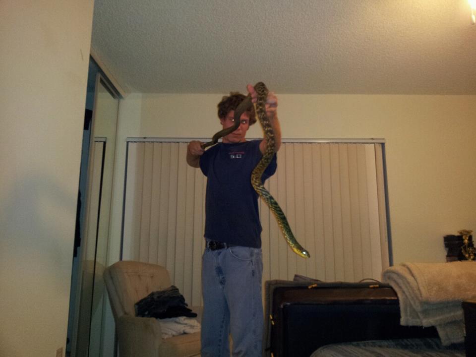 8' KING RAT SNAKE