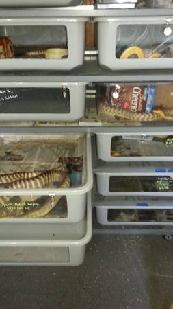 8514 ars rack