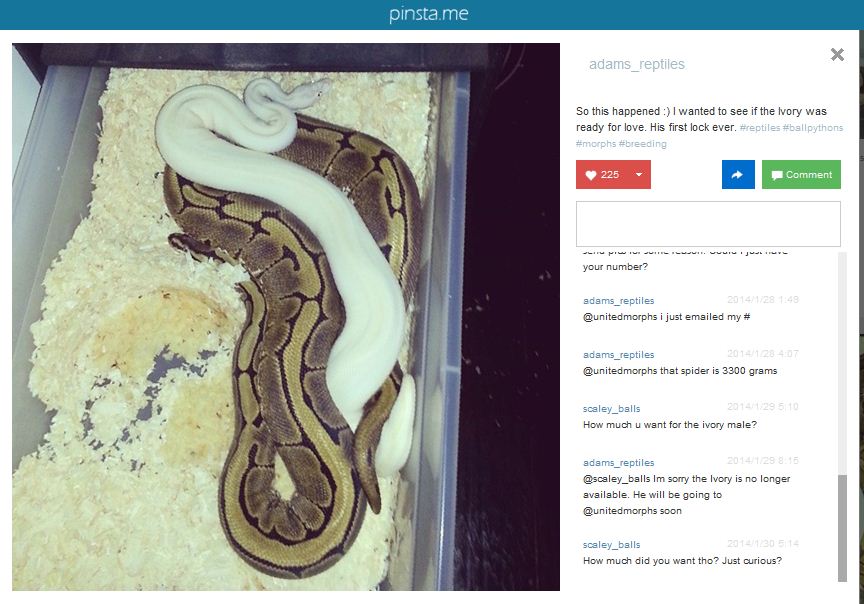 adams_reptiles_pretrade_exchange2