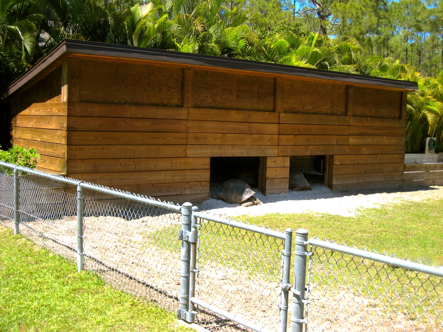 ALDABRA BREEDER