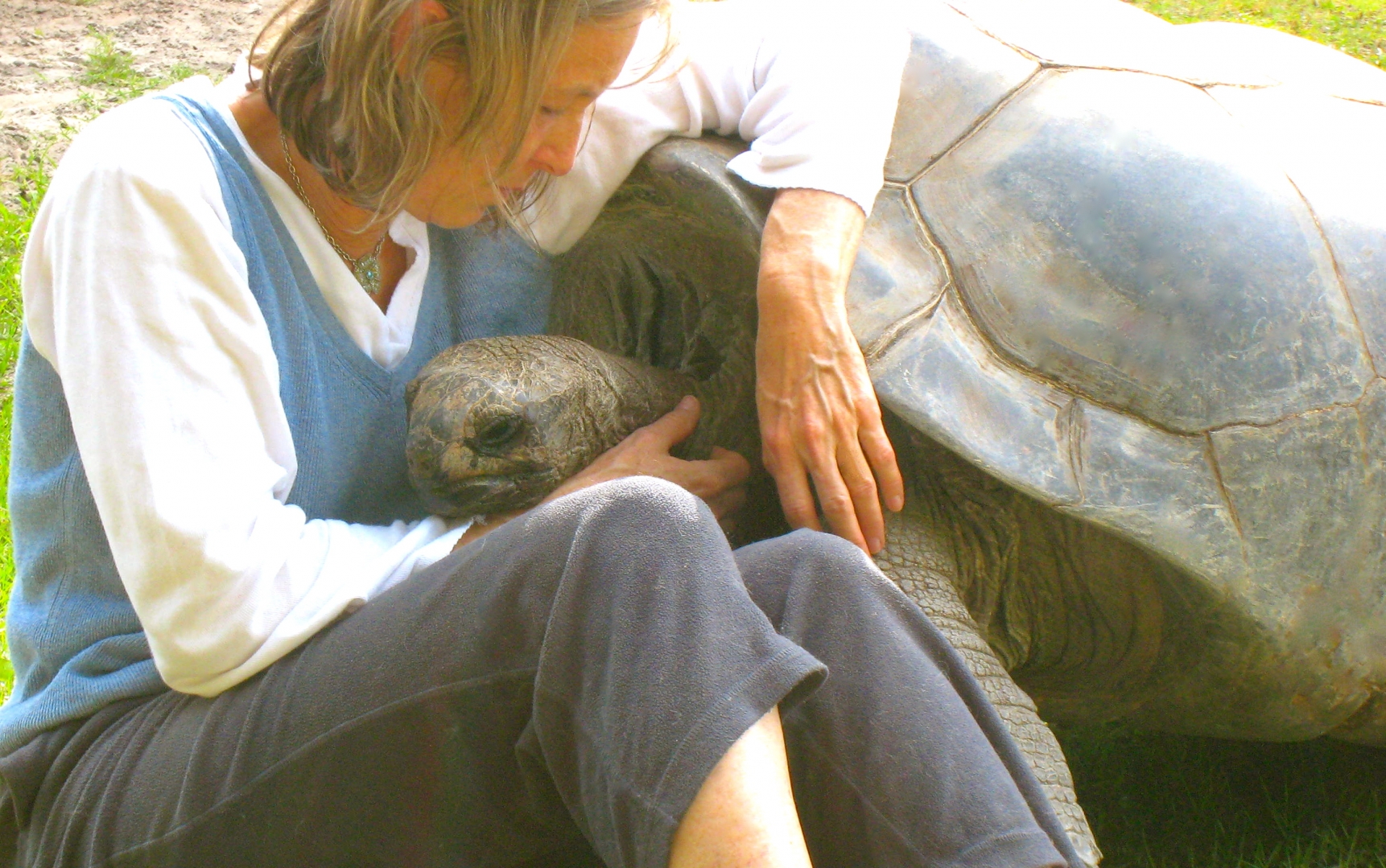ALDABRA BREEDER