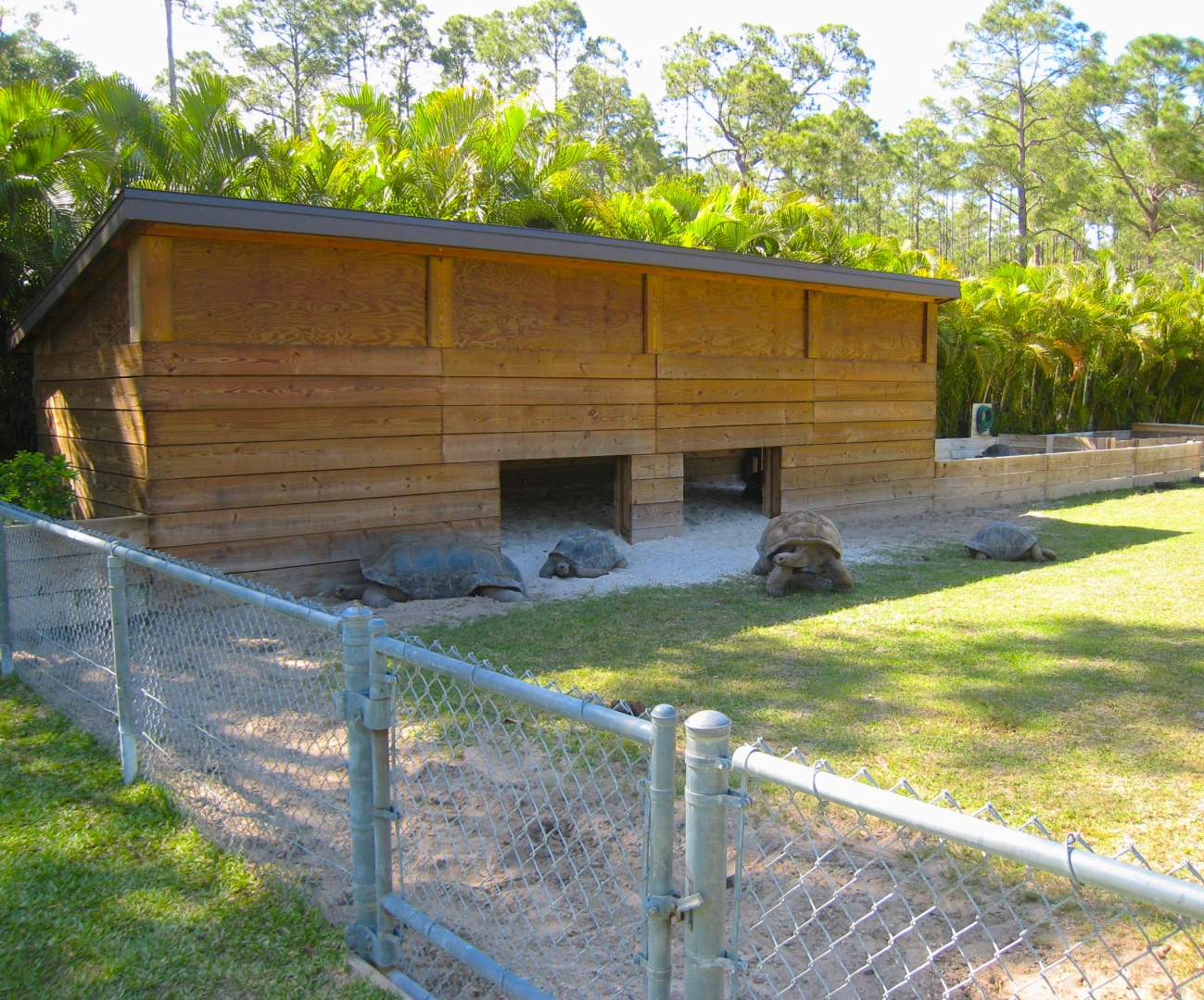 ALDABRA BREEDER