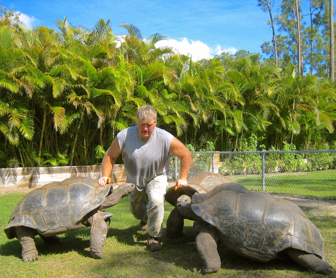 ALDABRA BREEDER