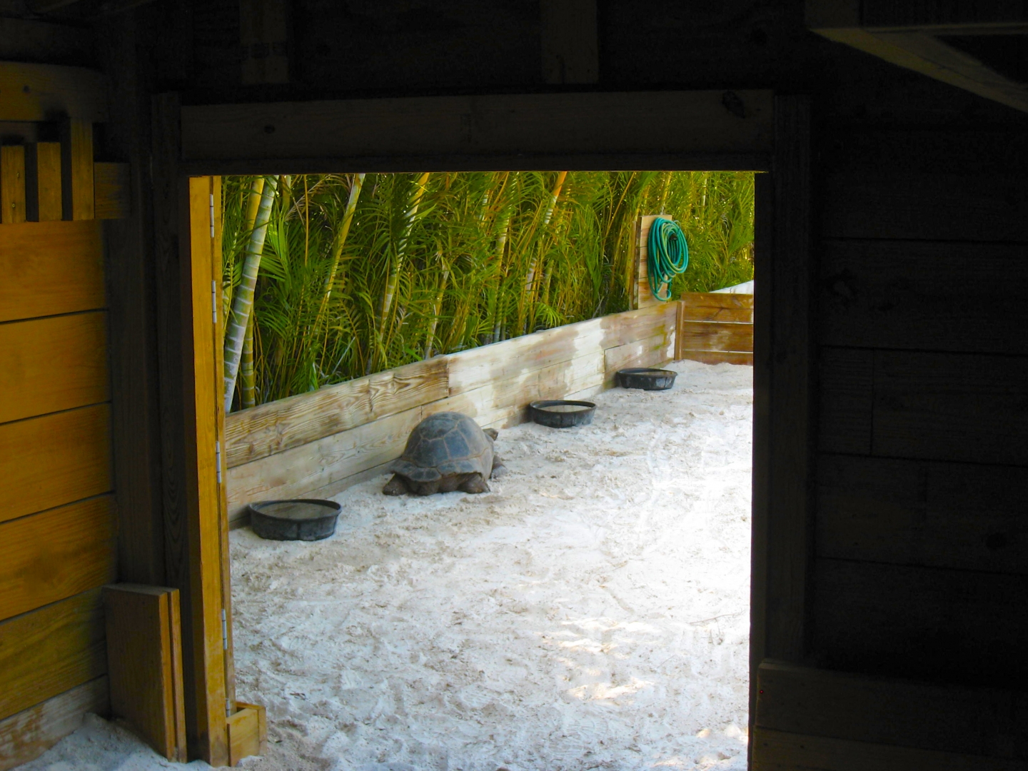 ALDABRA BREEDER