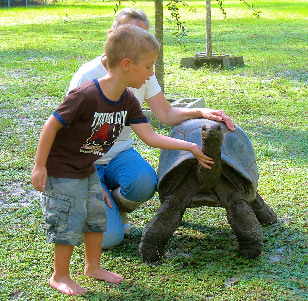 ALDABRA BREEDER