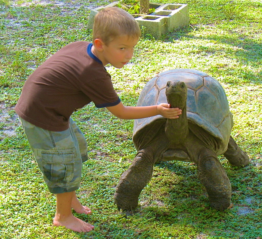 ALDABRA BREEDER