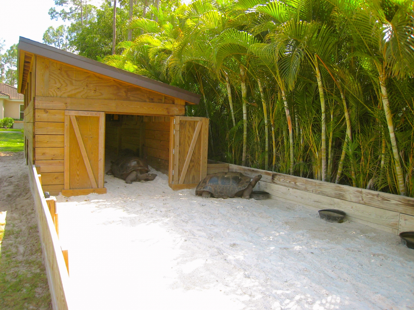 ALDABRA BREEDER