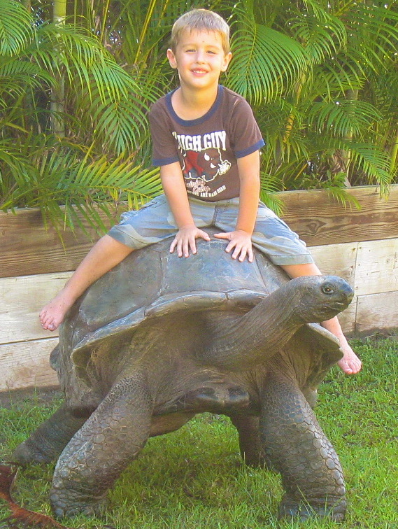ALDABRA BREEDER