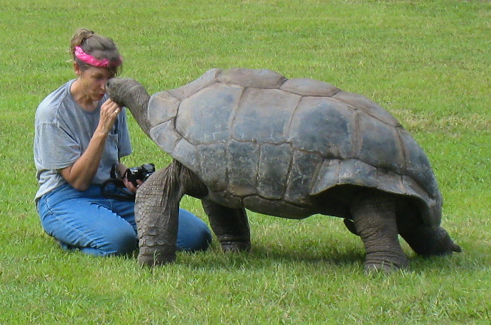 ALDABRA BREEDER
