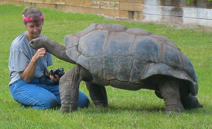 ALDABRA BREEDER