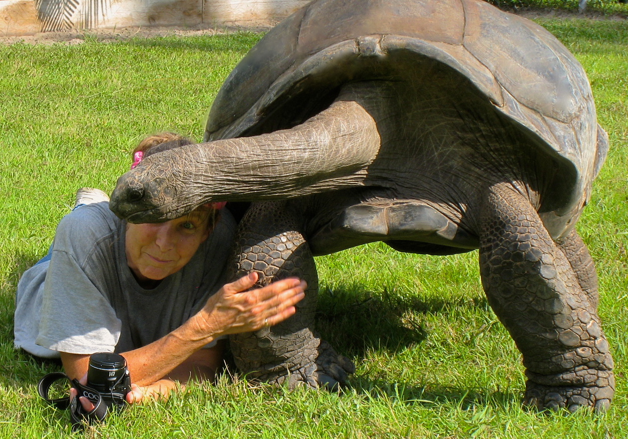 ALDABRA BREEDER