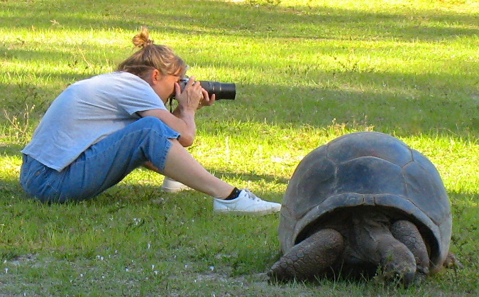 ALDABRA BREEDER