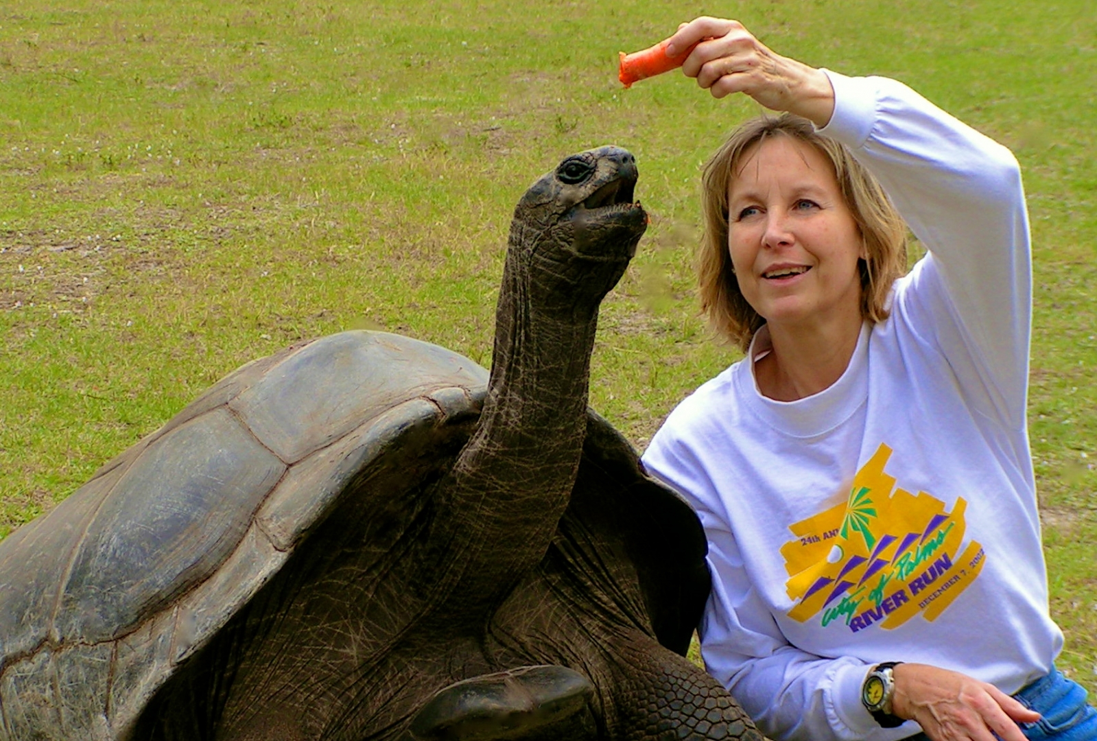 ALDABRA BREEDER