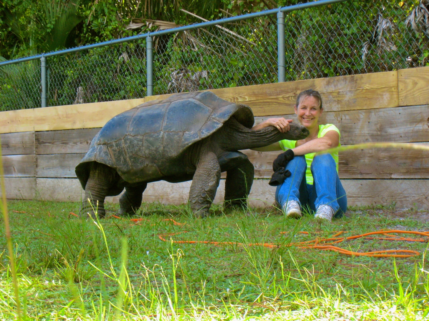 ALDABRA BREEDER
