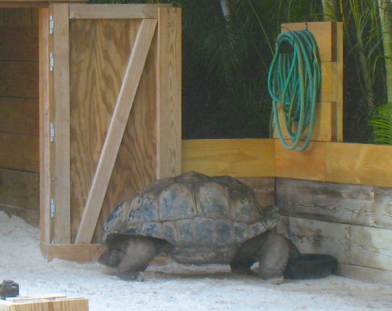ALDABRA BREEDER