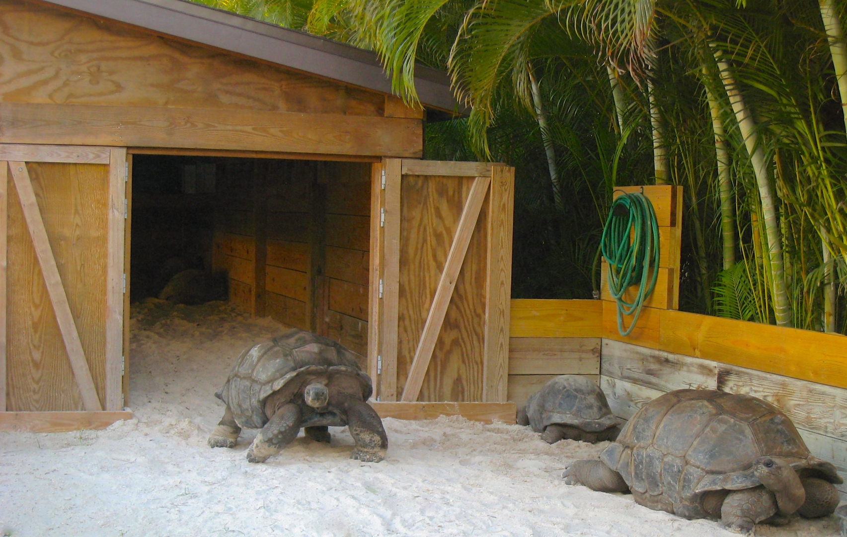 ALDABRA BREEDER