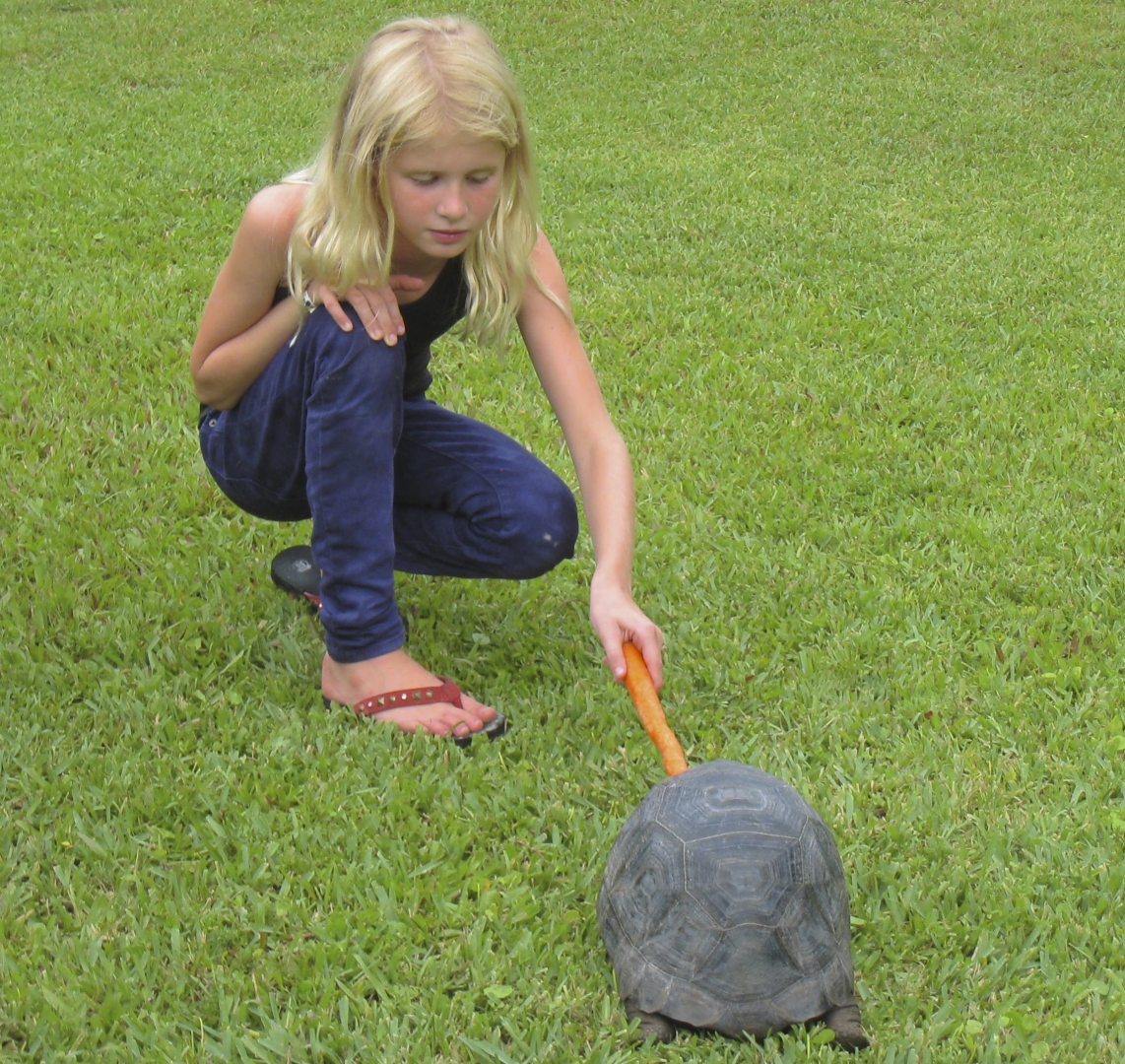 ALDABRA BREEDER