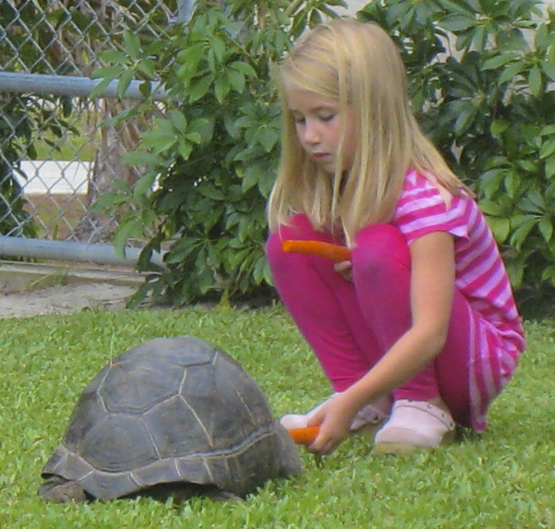 ALDABRA BREEDER