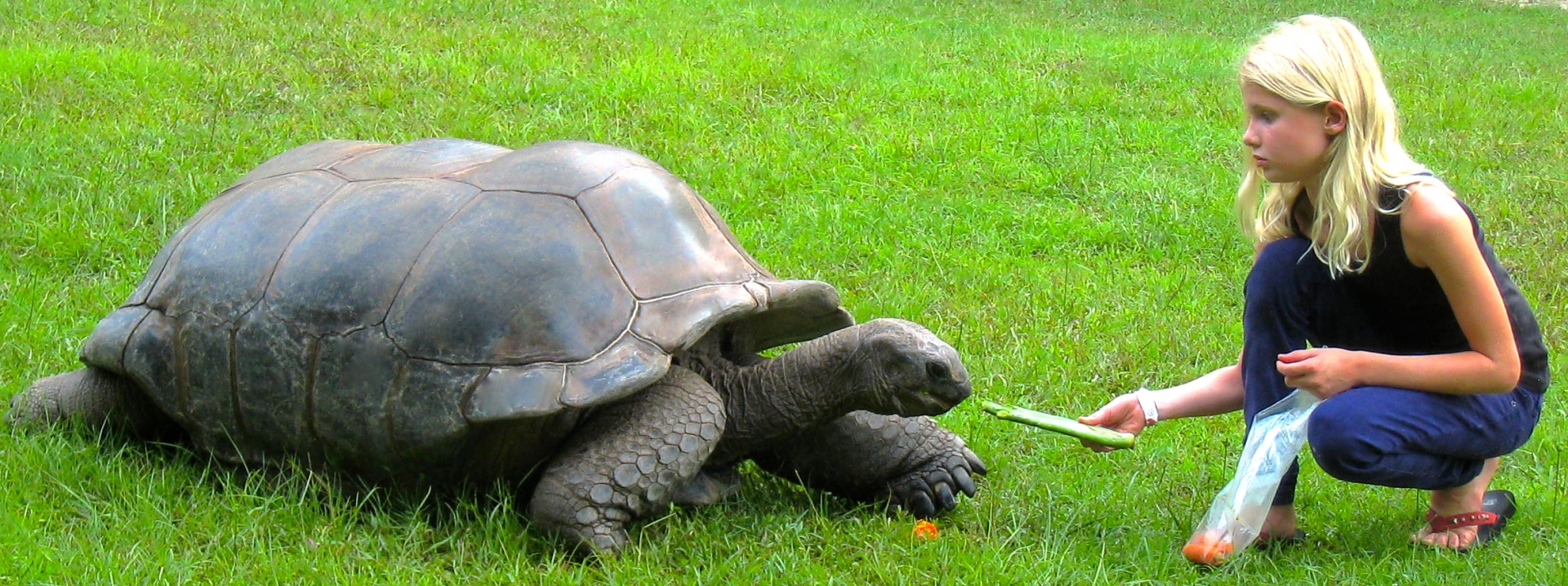 ALDABRA BREEDER