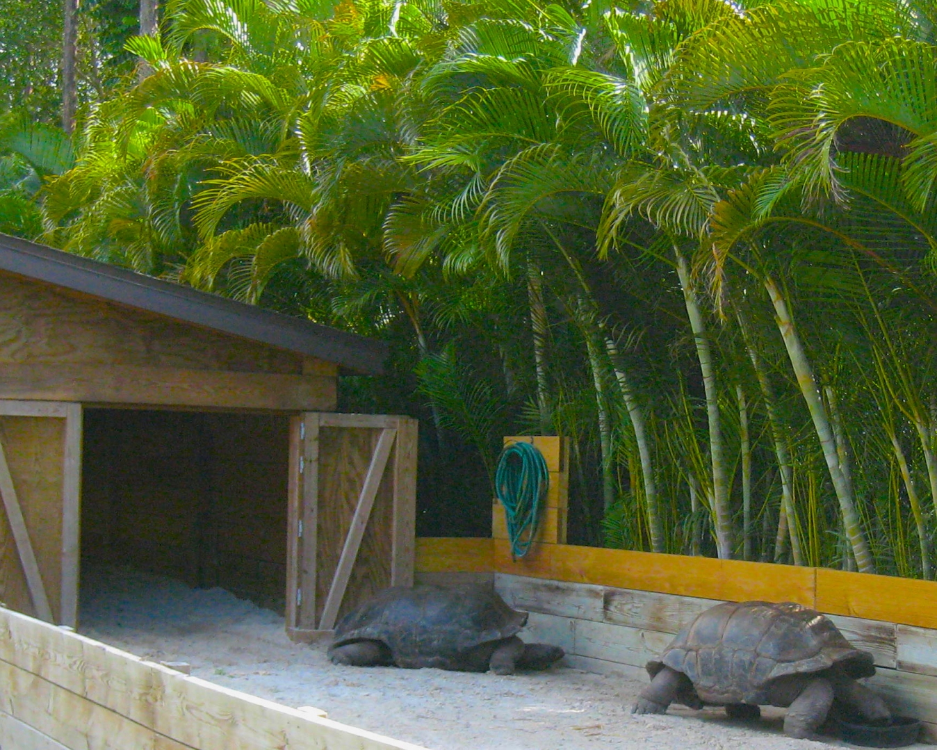 ALDABRA BREEDER