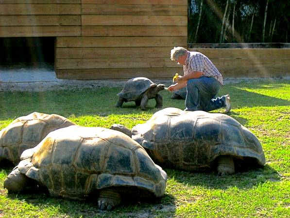 ALDABRA BREEDER