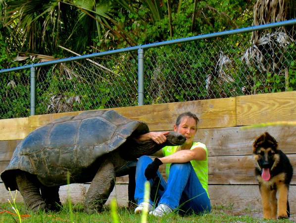 ALDABRA BREEDER