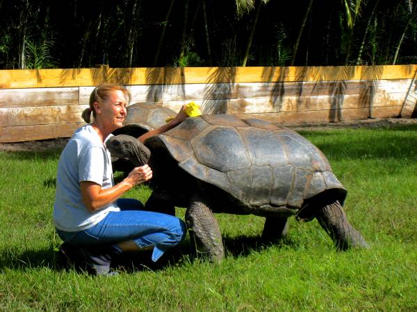 ALDABRA BREEDER