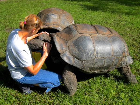 ALDABRA BREEDER